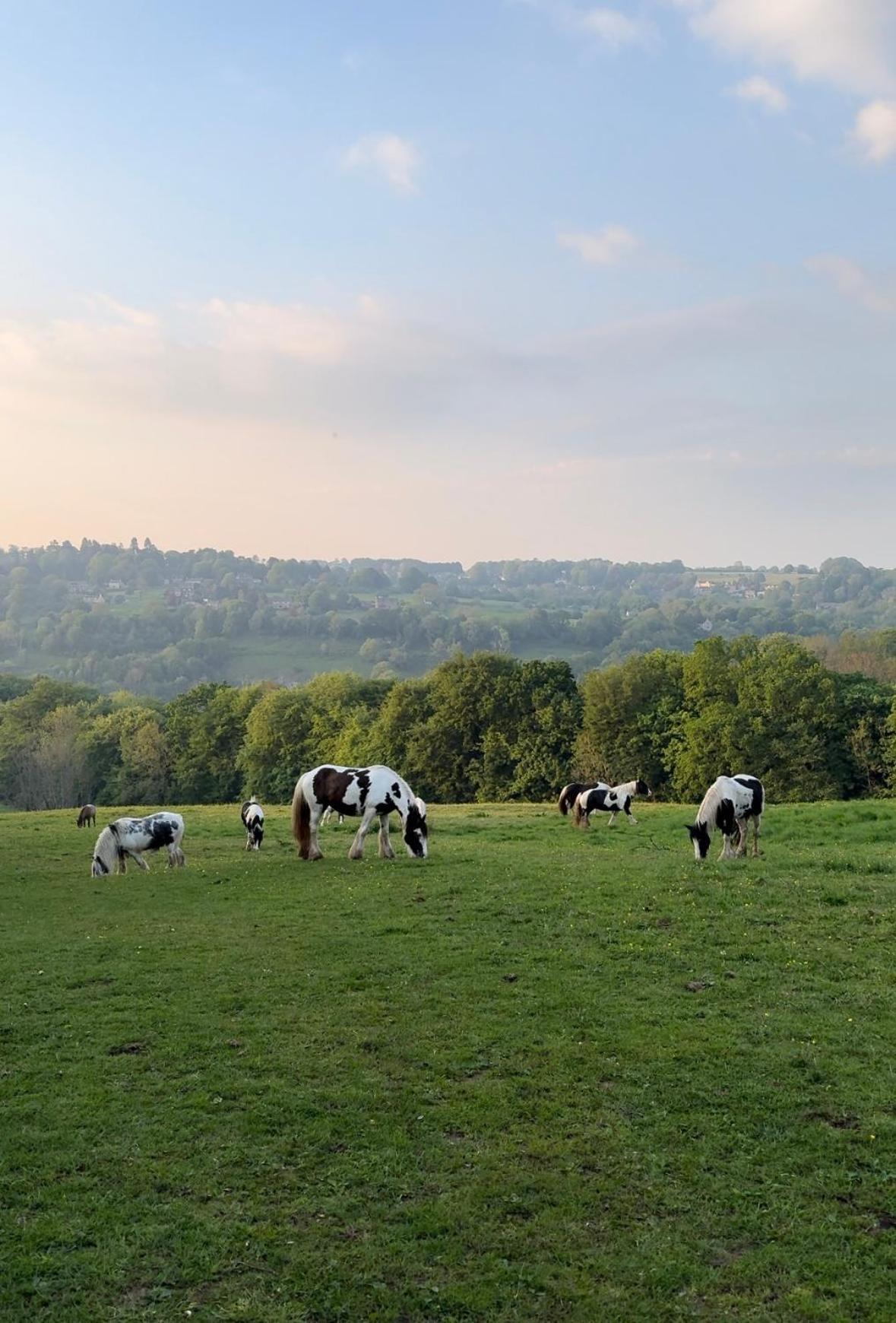 Cupcake Cottage: Quintessential Cotswold Holiday home Nailsworth